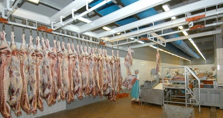 Дезинсекция на мясокомбинате в Егорьевске, цены на услуги