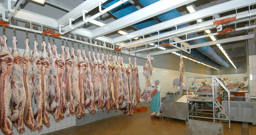 Дезинсекция на мясокомбинате в Егорьевске, цены на услуги